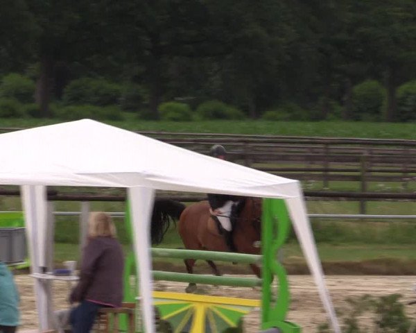 Reitturnier Coesfeld/Lette 2018