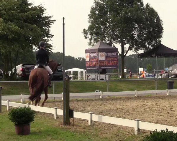 Reitturnier Coesfeld/Lette 2018