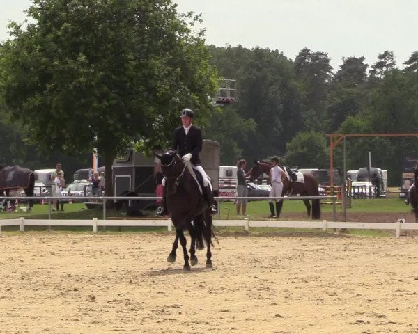 Reitturnier Coesfeld/Lette 2018