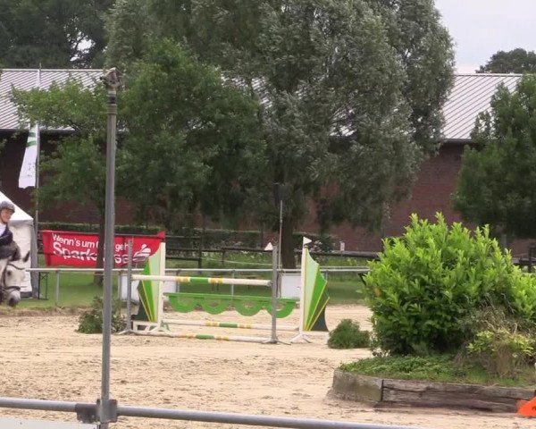 Reitturnier Coesfeld/Lette 2018