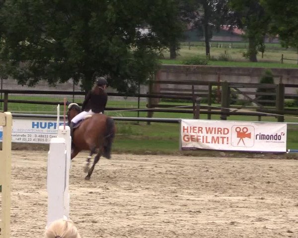 Reitturnier Coesfeld/Lette 2018