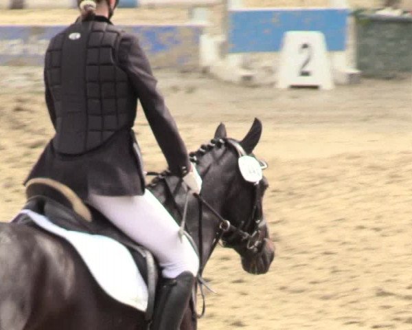 Reitturnier Fröndenberg 2018