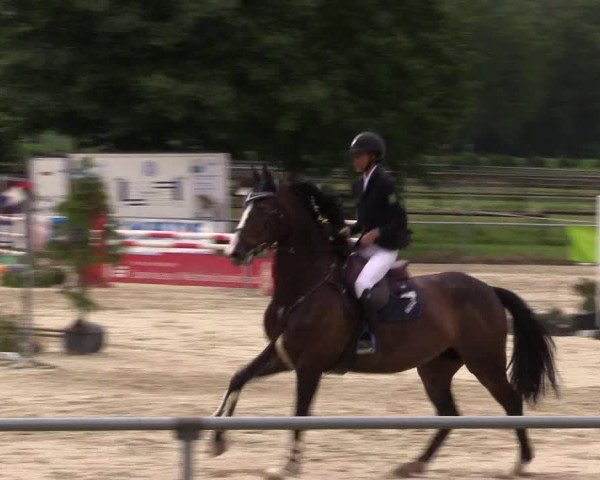 Reitturnier Coesfeld/Lette 2018