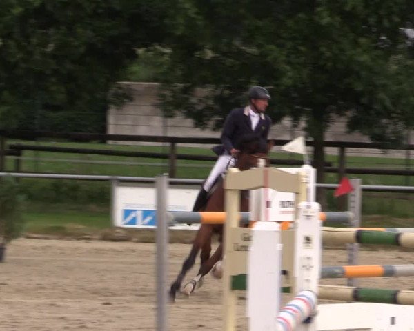 Reitturnier Coesfeld/Lette 2018