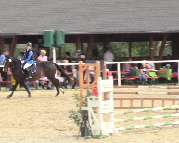 Reitturnier Fröndenberg 2018