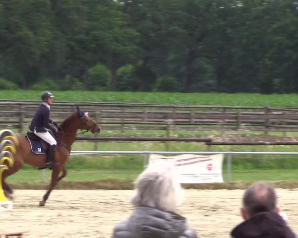 Reitturnier Coesfeld/Lette 2018