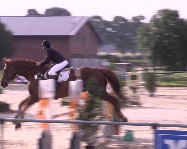 Reitturnier Coesfeld/Lette 2018