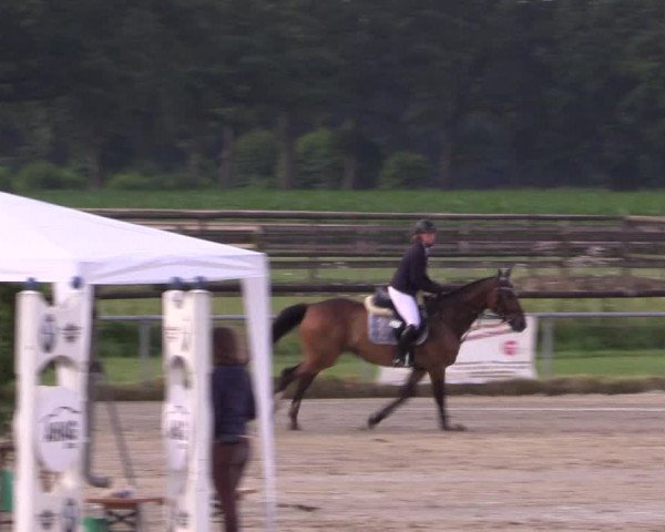 Reitturnier Coesfeld/Lette 2018