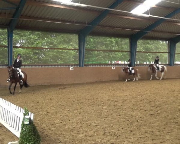 Reitturnier Remscheid, Buscher Hof 2018