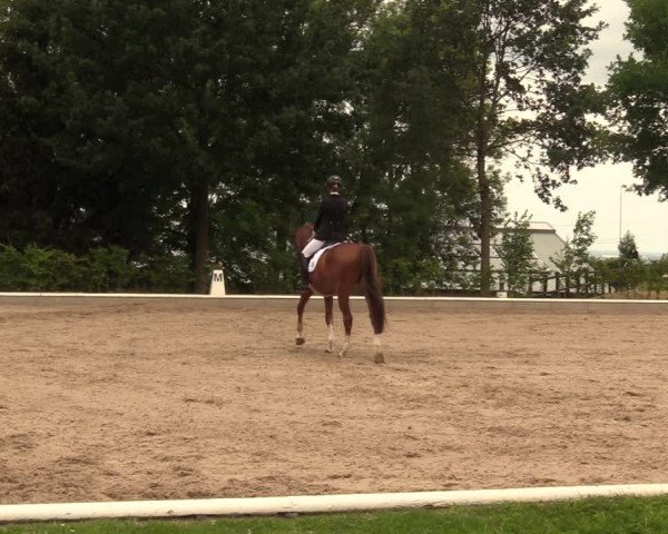 Reitturnier Fröndenberg 2018