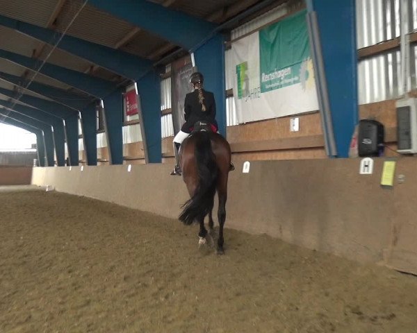 Reitturnier Remscheid, Buscher Hof 2018