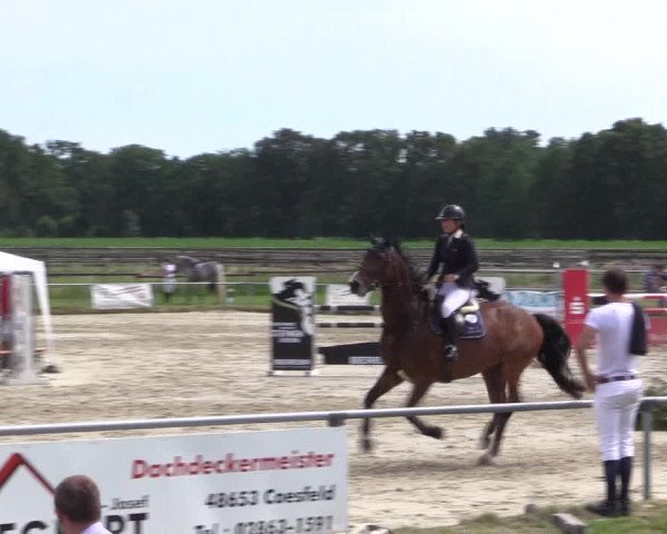 Reitturnier Coesfeld/Lette 2018