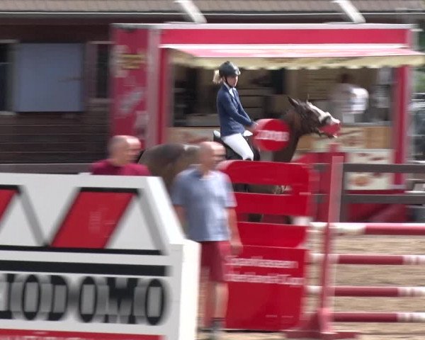 Reitturnier Alt Zeschdorf 2018