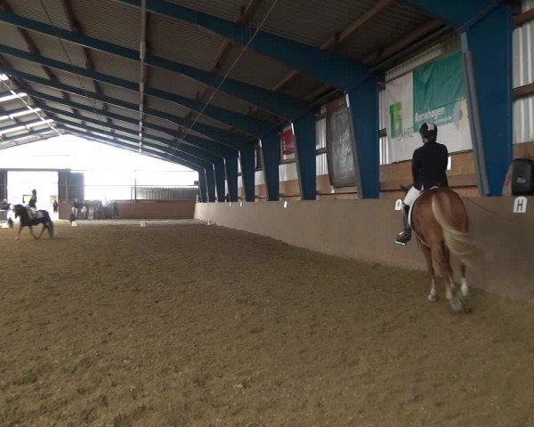Reitturnier Remscheid, Buscher Hof 2018