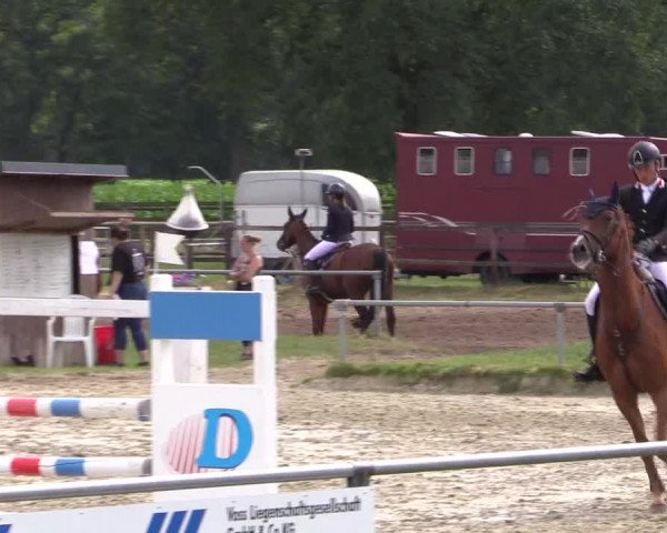 Reitturnier Coesfeld/Lette 2018
