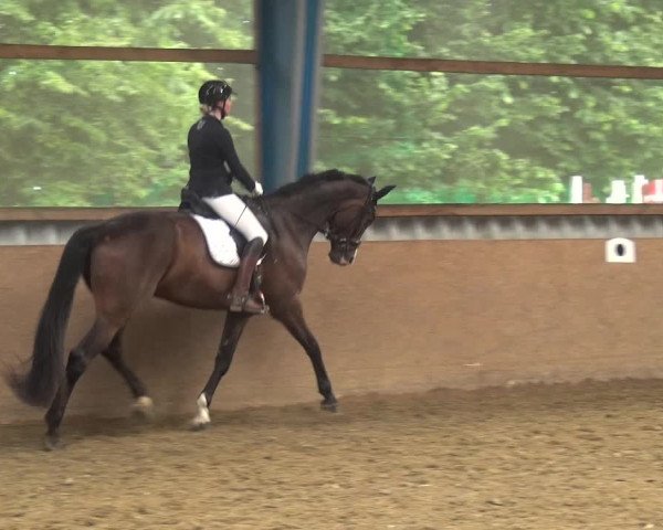 Reitturnier Remscheid, Buscher Hof 2018