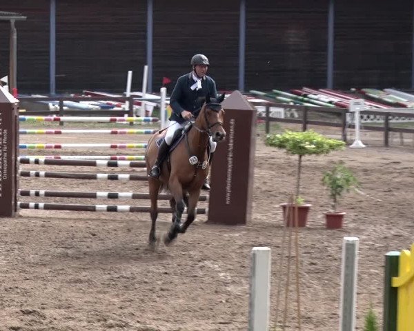 Reitturnier Alt Zeschdorf 2018