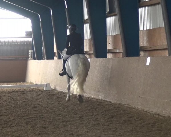 Reitturnier Remscheid, Buscher Hof 2018