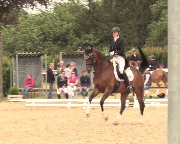 Reitturnier Fröndenberg 2018