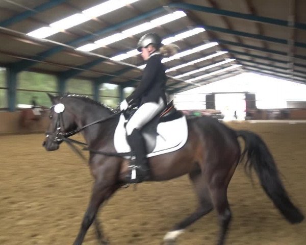 Reitturnier Remscheid, Buscher Hof 2018