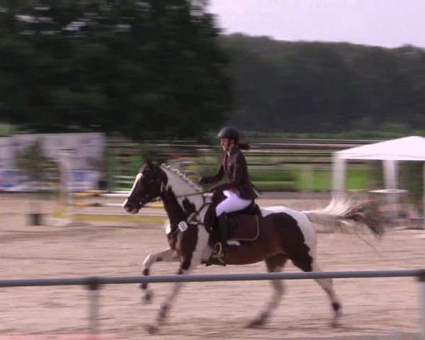 Reitturnier Coesfeld/Lette 2018