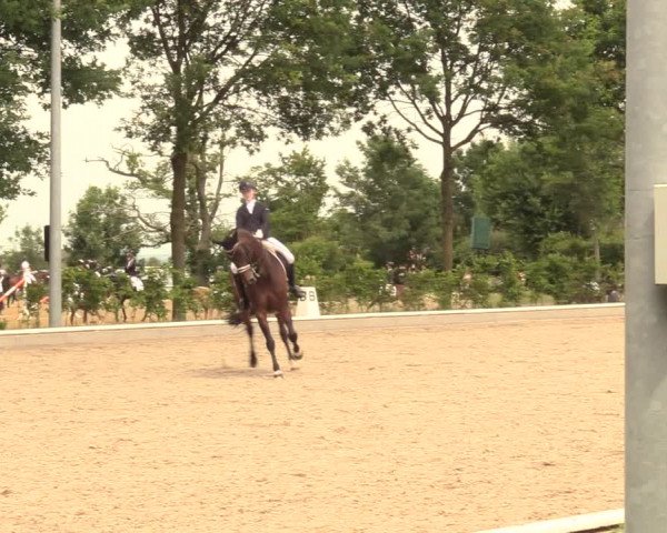 Reitturnier Fröndenberg 2018