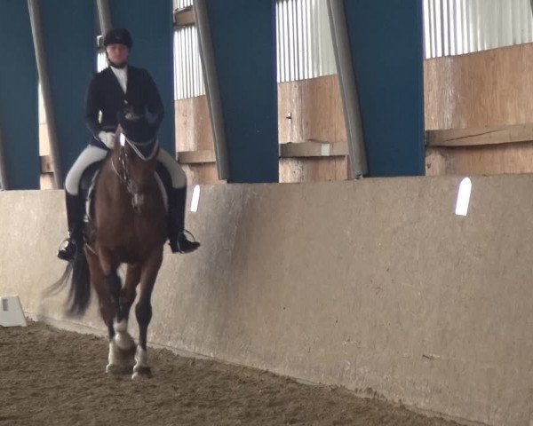 Reitturnier Remscheid, Buscher Hof 2018