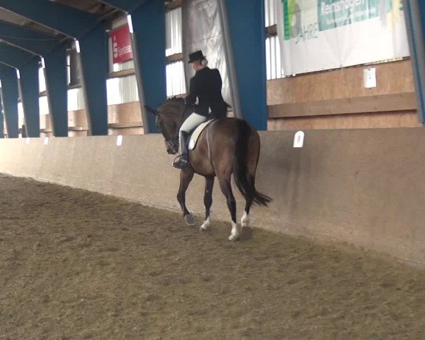Reitturnier Remscheid, Buscher Hof 2018