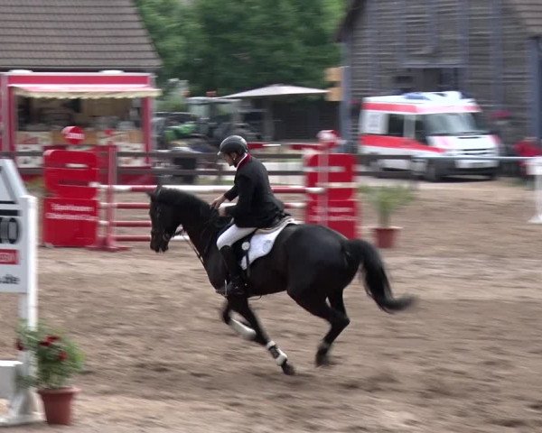 Reitturnier Alt Zeschdorf 2018