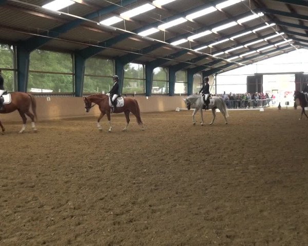 Reitturnier Remscheid, Buscher Hof 2018