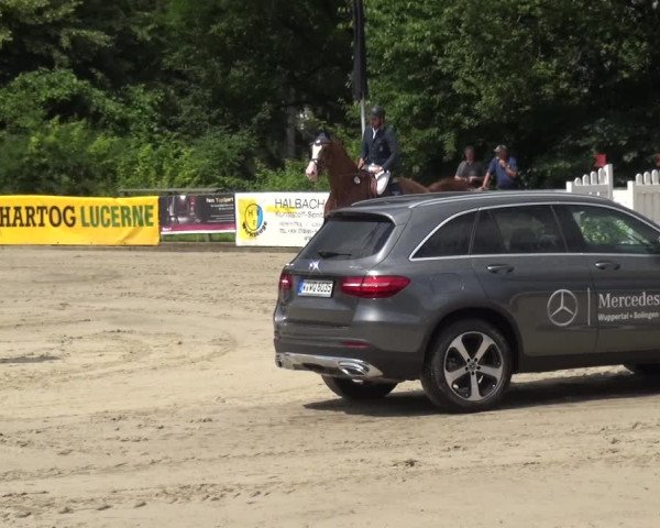Reitturnier Remscheid, Buscher Hof 2018