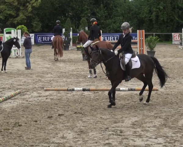 Reitturnier Remscheid, Buscher Hof 2018