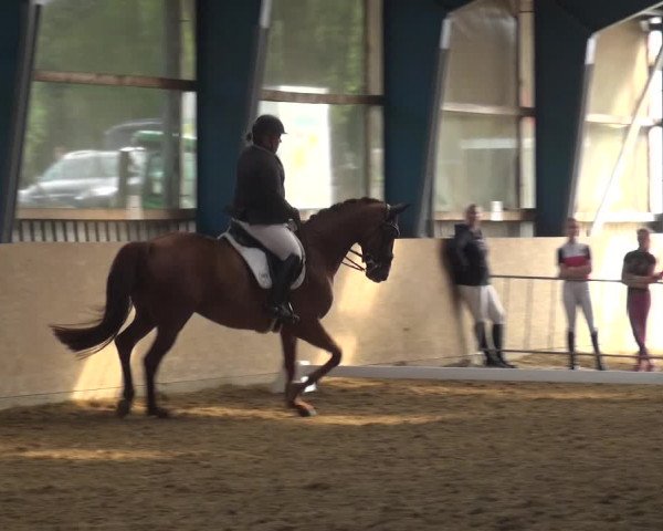 Reitturnier Remscheid, Buscher Hof 2018