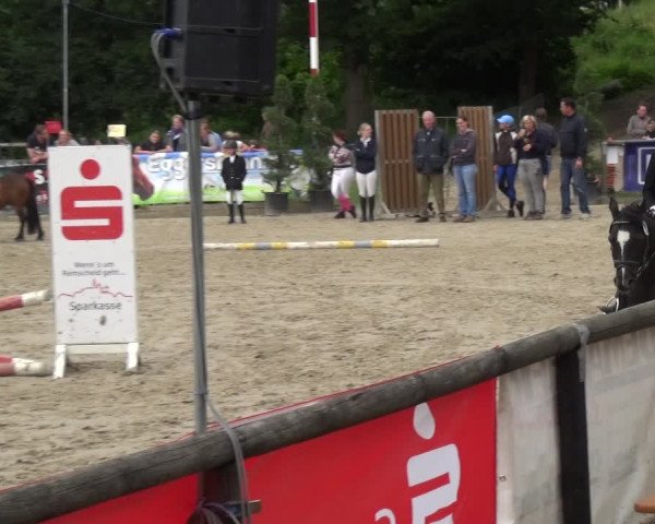 Reitturnier Remscheid, Buscher Hof 2018