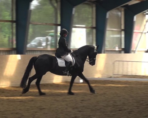 Reitturnier Remscheid, Buscher Hof 2018
