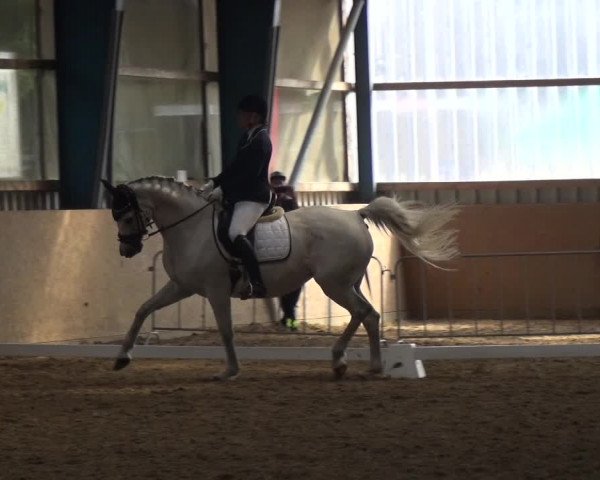 Reitturnier Remscheid, Buscher Hof 2018