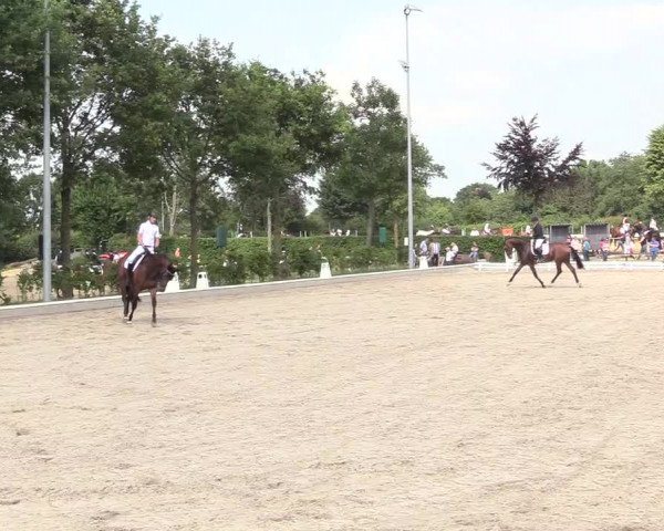 Reitturnier Fröndenberg 2018