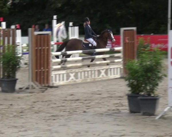 Reitturnier Remscheid, Buscher Hof 2018