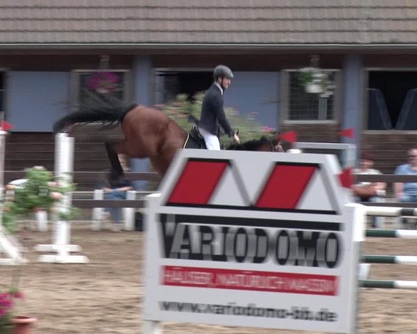Reitturnier Alt Zeschdorf 2018