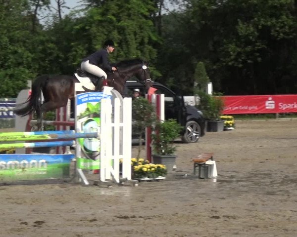 Reitturnier Remscheid, Buscher Hof 2018