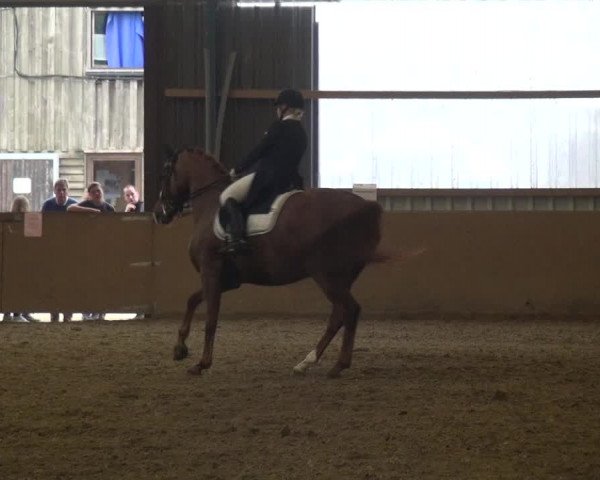 Reitturnier Remscheid, Buscher Hof 2018