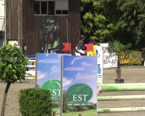 Reitturnier Remscheid, Buscher Hof 2018