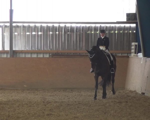 Reitturnier Remscheid, Buscher Hof 2018