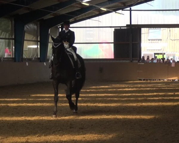 Reitturnier Remscheid, Buscher Hof 2018