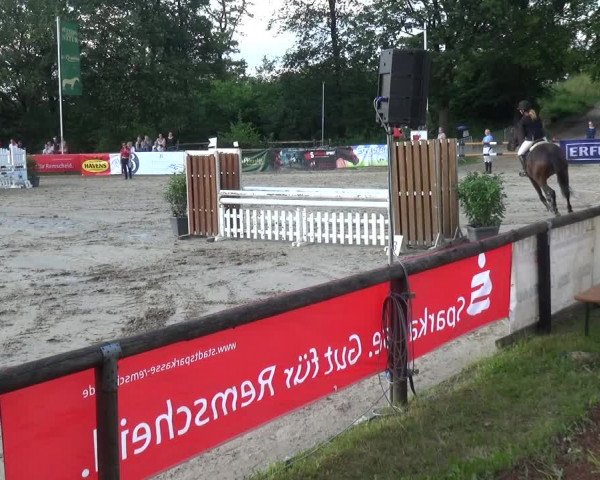 Reitturnier Remscheid, Buscher Hof 2018