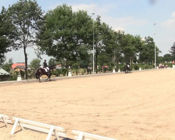 Reitturnier Fröndenberg 2018