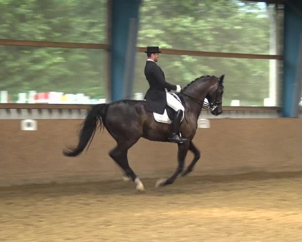 Reitturnier Remscheid, Buscher Hof 2018