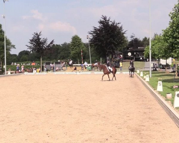 Reitturnier Fröndenberg 2018