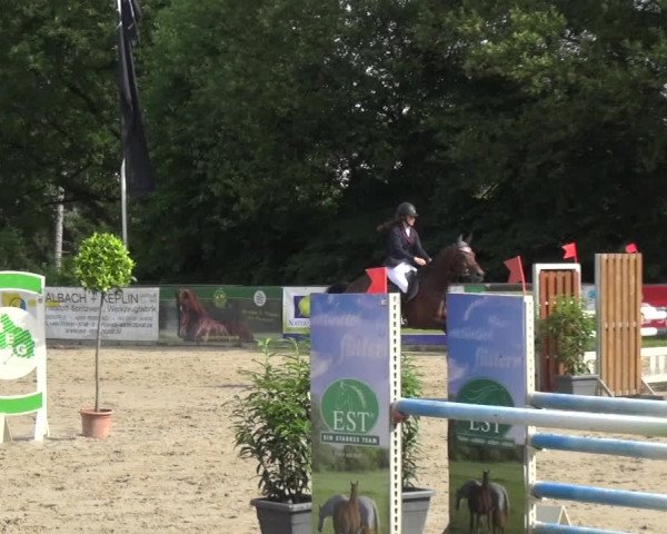 Reitturnier Remscheid, Buscher Hof 2018