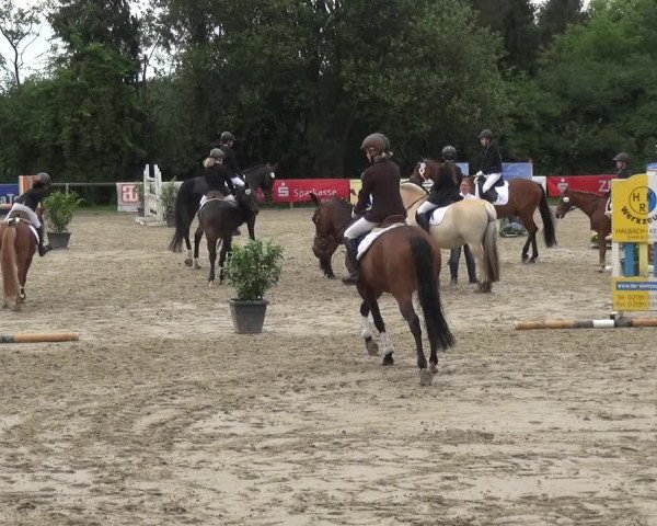 Reitturnier Remscheid, Buscher Hof 2018